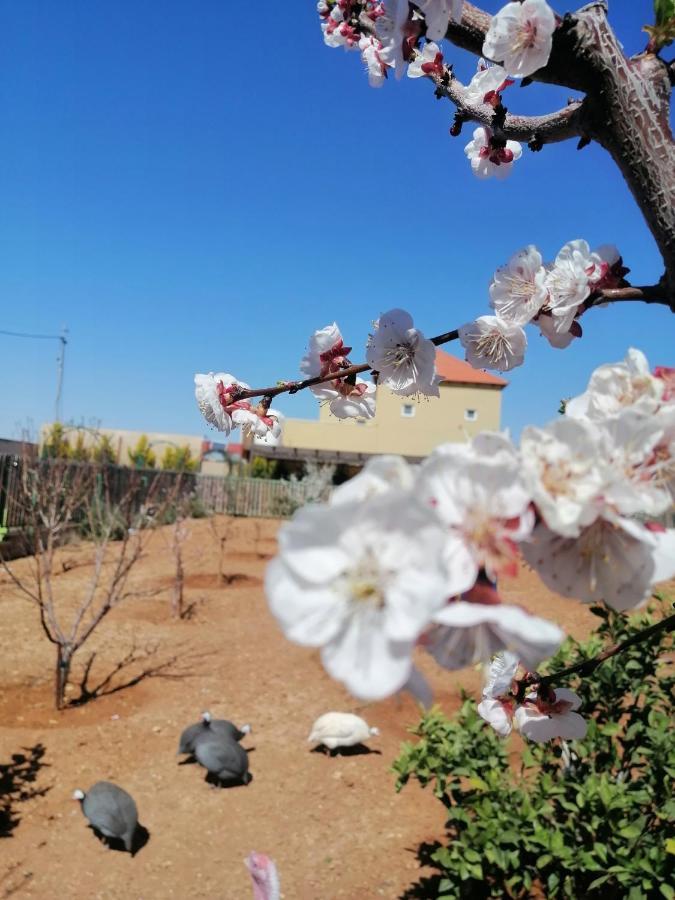 Villa Zee Madaba Exteriér fotografie